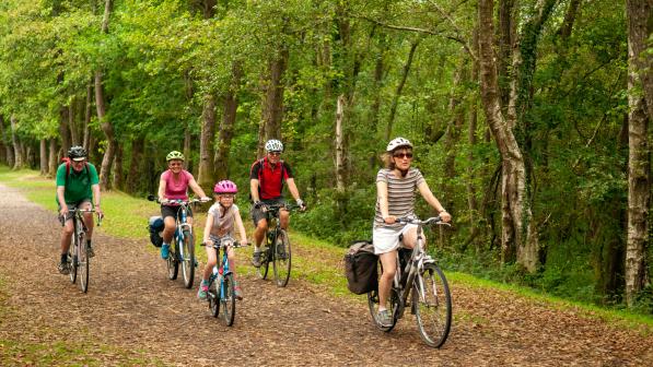 Cycle experience sales new forest